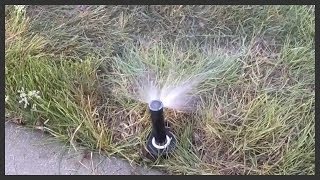 How to install a Rain Bird 1804 sprinkler head.