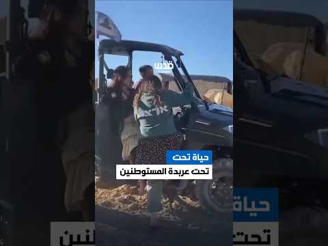 مليشيات المستوطنين تسرق عشرات رؤوس الأغنام من خربة الطيران في الظاهرية جنوب الخليل