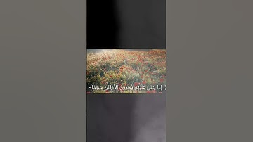عندما يبدع القارئ في التلاوة الشيخ خالد الجليل أسمع بقلبك