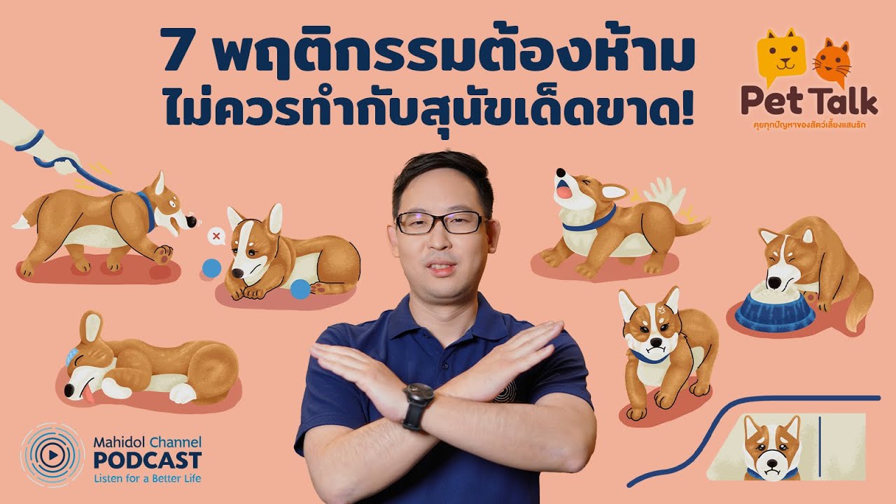[PODCAST] Pet Talk | EP.7 - 7 พฤติกรรมต้องห้าม ไม่ควรทำกับสุนัขเด็ดขาด!