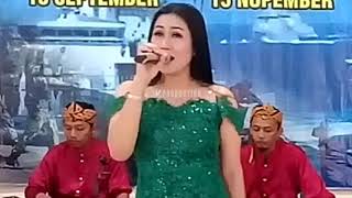 Pamer Bojo || Mey zaqilla ||