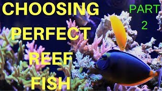 REEF SAFE FISH FOR THE MIXED REEF AQUARIUM (COMMUNITY FISH PART 2)