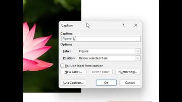MS Word Afbeeldingbijschriften invoegen