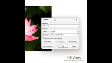 MS Word Afbeeldingbijschriften invoegen