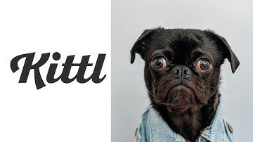 How To Use KITTL Photo Elements