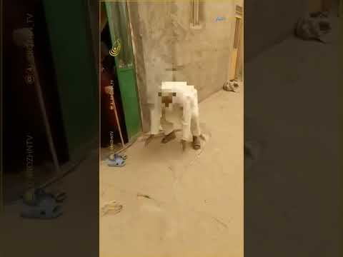 هجوم دوباره بادهای ۱۲۰ روزه آلودگی هوا در زابل به مرز بحران رسید