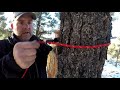 Gear Review: Knot A Hitch - Campsite Dog Tether System