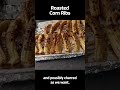 Super Easy Roasted Corn Ribs