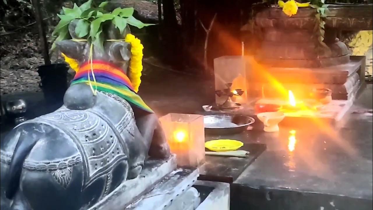 KARTHIGAI POURNAMI DEEPAM. NITE OF BLISS AT BRAHMARISHI HILLS MALAYSIA