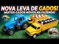 🌾 OLHA QUANTOS GADOS NOVOS CHEGARAM NA FAZENDA! 🐄