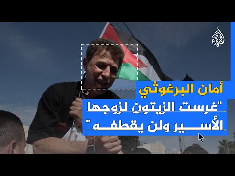 أمان البرغوثي.. غرست الزيتون لزوجها الأسير ولن يقطفه