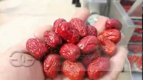 Date Washing and Drying Production Line|Jujube Washing Processing Line
