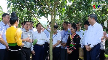 Thủ tướng Chính phủ kiểm tra Dự án cao tốc Hòa Bình - Mộc Châu và thăm mô hình kinh tế