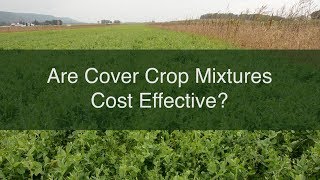 Are Cover Crop Mixtures Cost Effective?