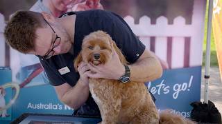 How to Remove Ticks on Dogs? - presented by NexGard SPECTRA