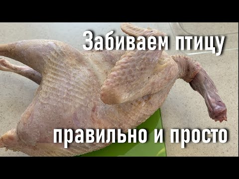 Видео: Как се отглежда фазан