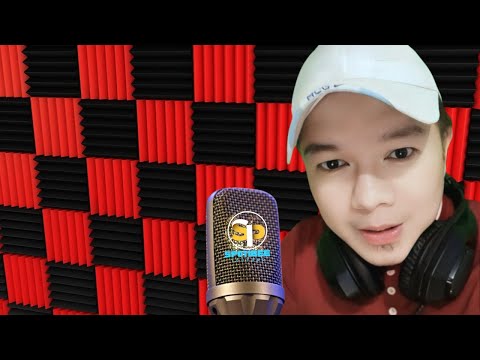 Spotibee Original Composition | Compilation #original
