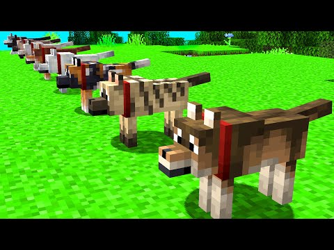 NEW WOLF BREEDS