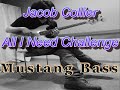 #AllINeedchallenge (Jacob Collier) on Mustang bass.