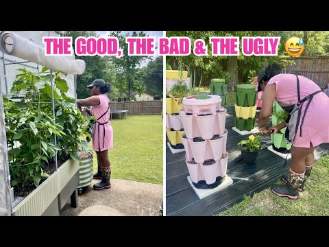 OUR GARDEN IS A MESS IN SOME SPOTS | GARDEN TOUR + HARVEST 