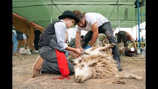 Fiesta de La Lana en Caideros de Gáldar y Día de Canarias