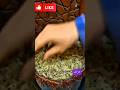 الحرجل الحل الطبيعى لحصوات الكلى والمغص الكلوي الحرجل صحة طبيعية فوائد الأعشاب حصوات الكلى أعشاب