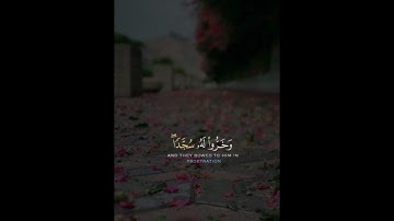 قالوا ياأبانا استغفر لنا ذنوبنا إنا كنا خاطئين .. سوره يوسف