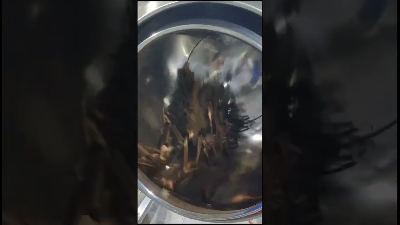 #Drumroster #masala #roster