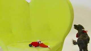 Lv Pet Pawtrait - Olive The Spaniel