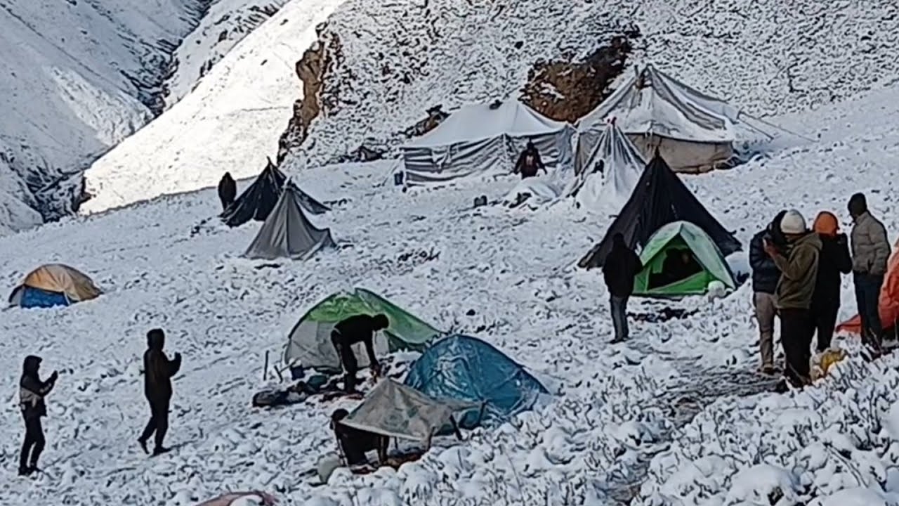 this is the big reson why himalayan  Life is tough sheep Life 
