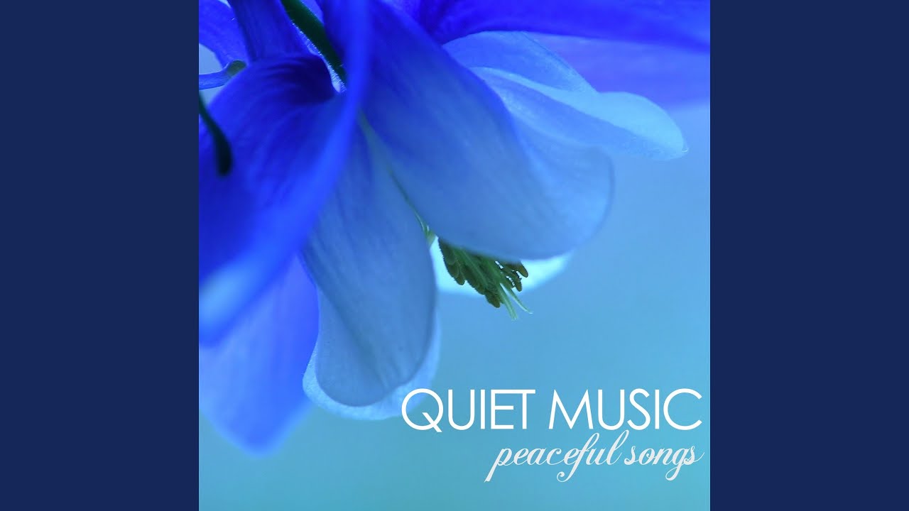 Watch Pure Stillness on YouTube Watch Pure Stillness on YouTube