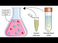 How to Perform the Determination of Ca and Mg in Milk Samples and Calculations