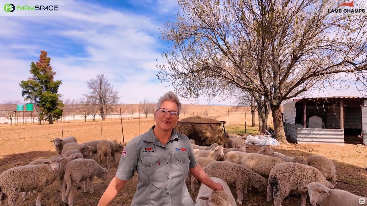 Kan Lamb Champs ’n boerdery se handelsmerk laat groei?