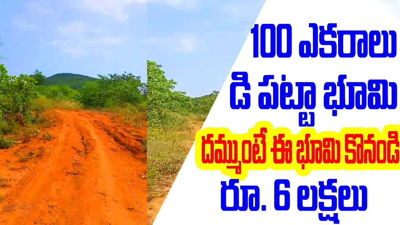 100 Acre D Patta Land For Sale Pure red Soil Land Cheap Price