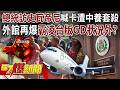 總統訪問史瓦帝尼
