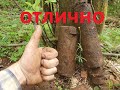 Металокоп- 18 05 2021