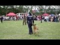 Polizeidiensthunde [Donauinselfest 2011] p2