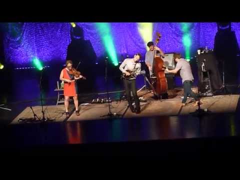 The Elephant In The Corn Nickel Creek Live The Elephant In The Corn Nickel Creek Live