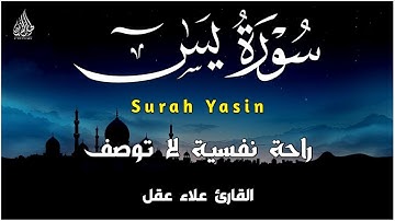 سورة يس كاملة بصوت القارئ علاء عقل | Surah yasin full by Sheikh Alaa Aqel