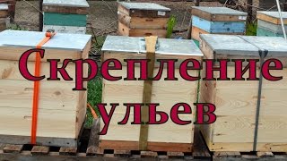 Скрепление ульев для транспортировки(Каждый кто сталкивался с кочевкой пчел при многокорпусной системе знает на сколько важно правильно соедин..., 2015-10-09T07:57:23.000Z)