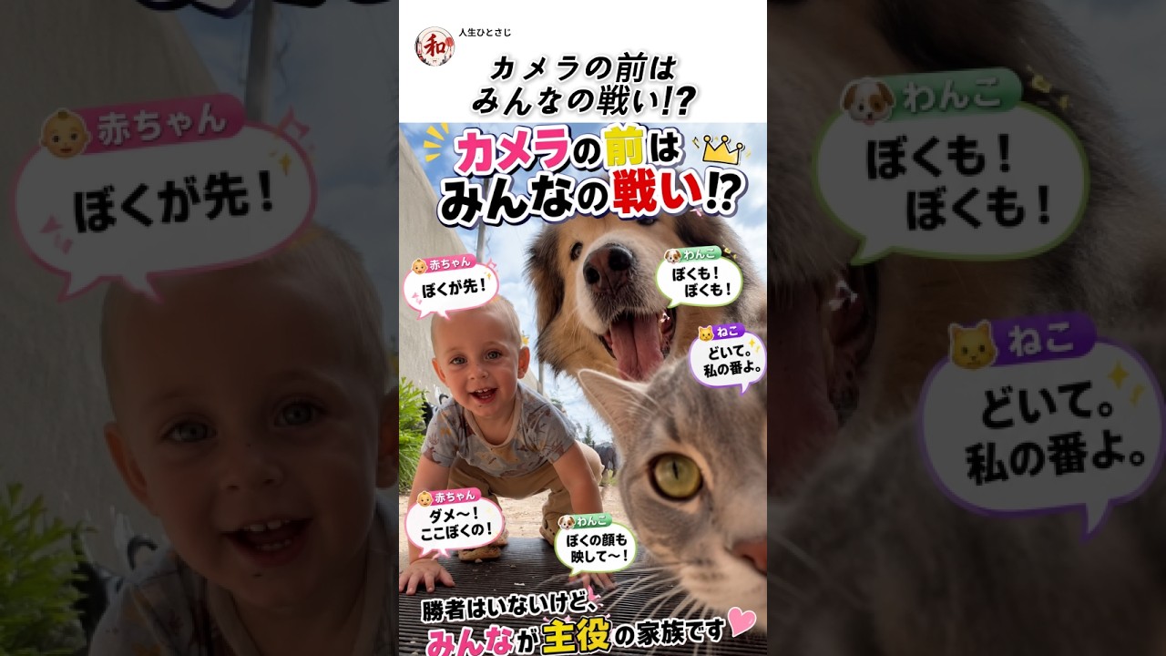 勝者はいないけど、みんなが主役の家族です