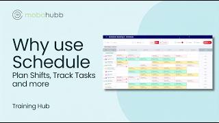 What is the Schedule Feature and Why Use It