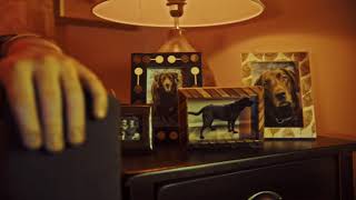 CAA Edibles Campaign - Dog (15s)