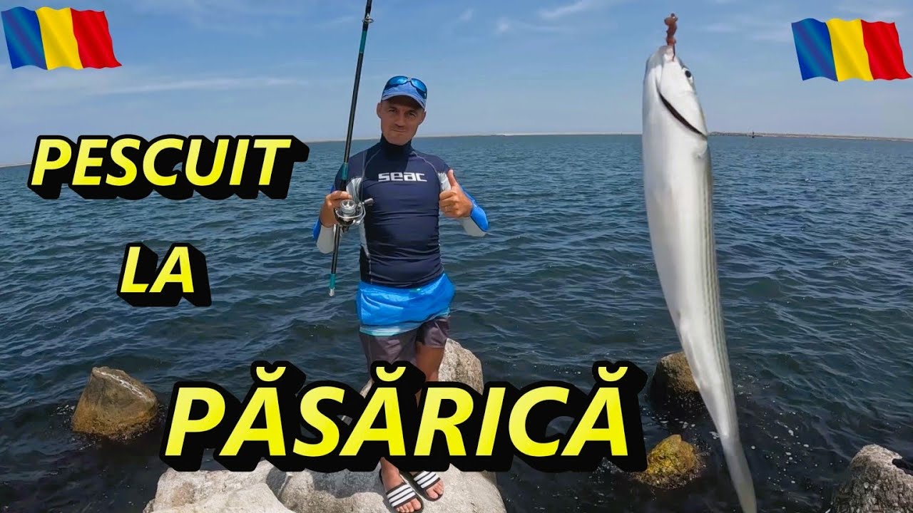 Pescuit la Păsărică și la Bombardă in Marea Neagră !
