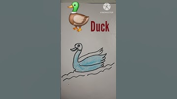 how to draw duck #shorts #duck drawing for beginners