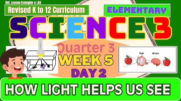 Grade 3 Science Q3 W5 D2 | How Light Helps Us See | Revised K-12 MATATAG
