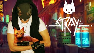 Stray - A New Weapon and a Family Reunion - Part 3