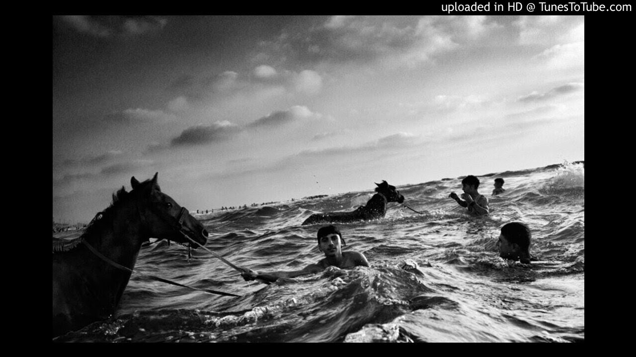 Danosongs - Particles of Salenia - Cinematic