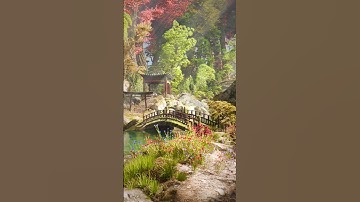 Viewport vs render #3denvironmentdesign #nature #blender3d #3d #creativeblender