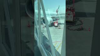 Takeoff terminal 3 #80smusic #aesthetic #automobile #flashback #international #love #morning #music